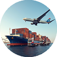 حمل و نقل میگو صادراتی