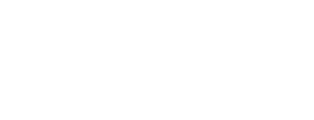 صادرات میگو