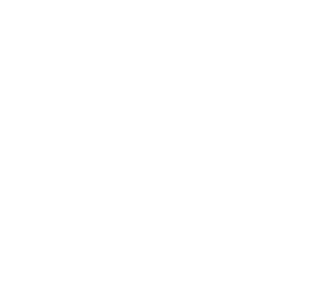 شرکت صادرات میگو ایرانی